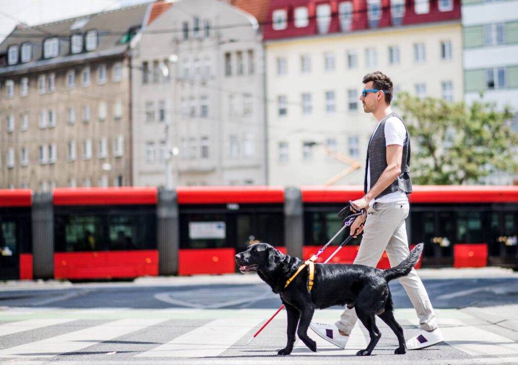 young-blind-man-with-white-cane-and-guide-dog-walk